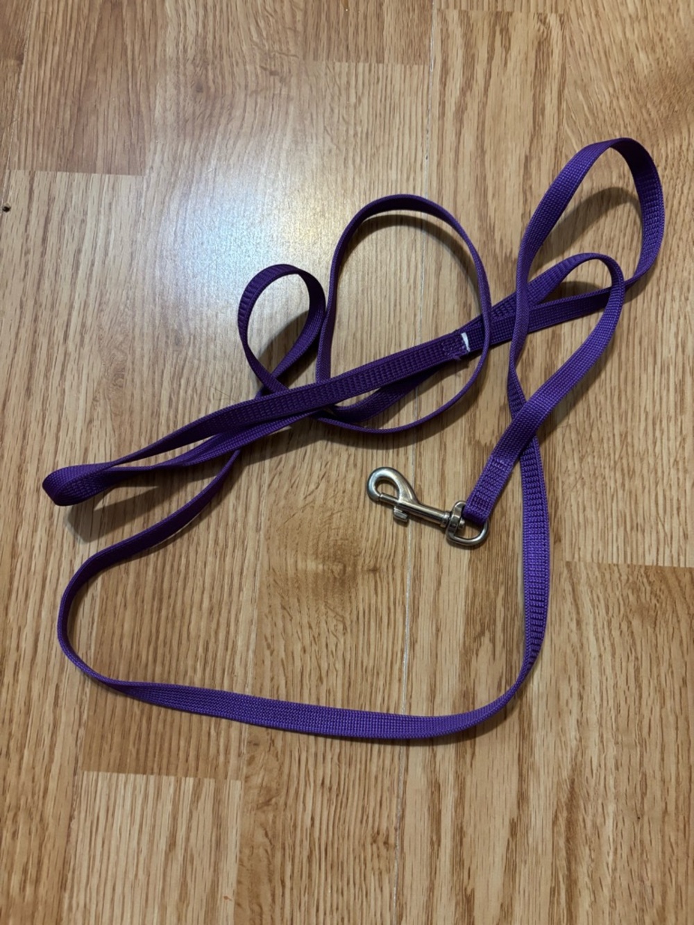 Purple Dog Leash - Durable Nylon Pet Lead